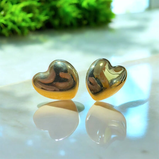 Orecchini Acciaio 316L CuoreGold